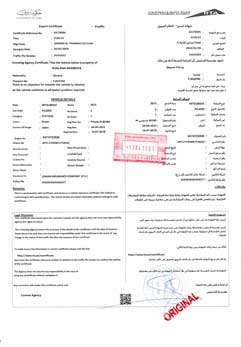 Техпаспорт ОАЭ